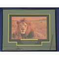 Inspirational Poster, Lion, Framed w Glass 22 x 28 in. Survival
